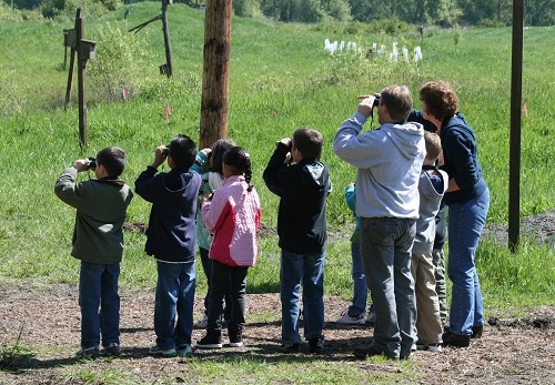 bird watchers